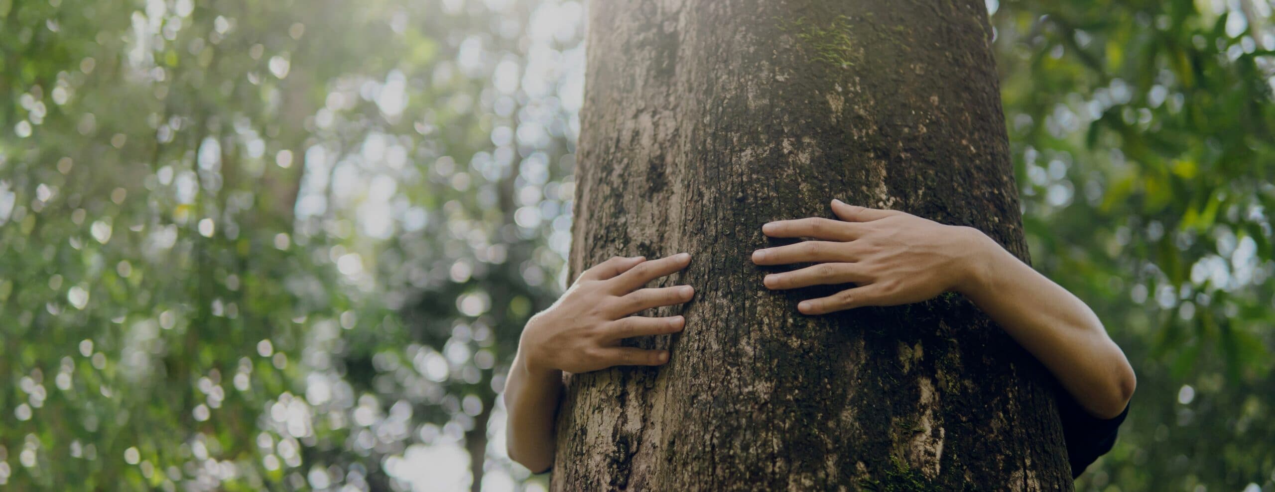 0cf826c547c0d2f09c202031e350cab4d29d5b64-1