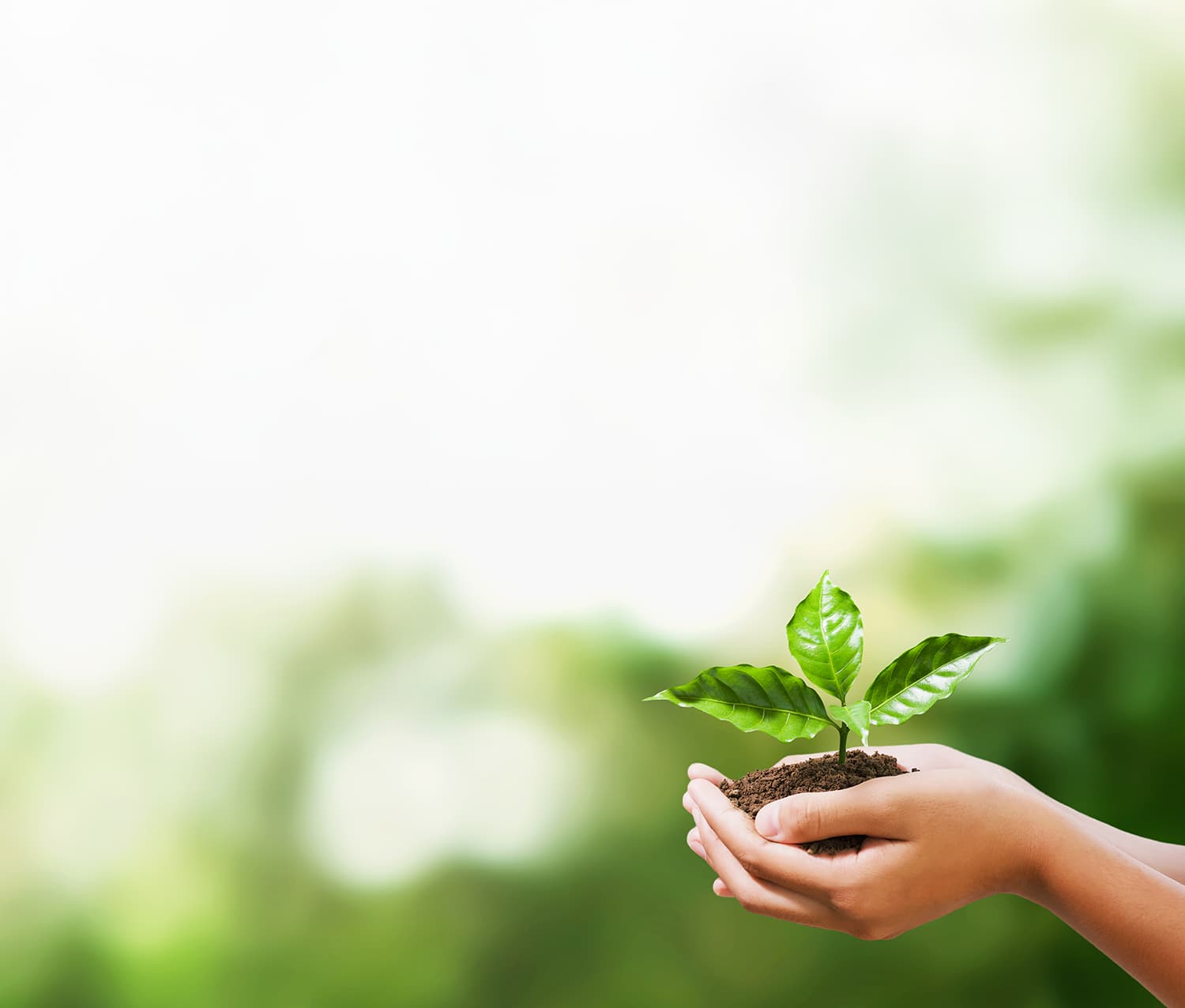 8b47d078d21012e7d984afb2b5a636377a5db8b9